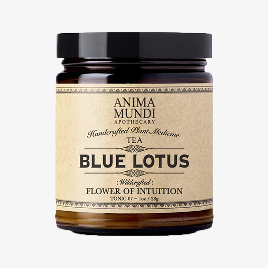 Anima Mundi Blue Lotus Tea