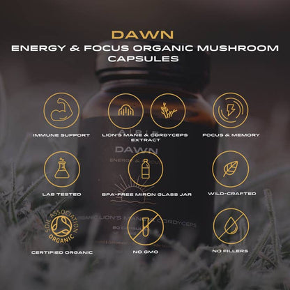 APE Nutrition Dawn