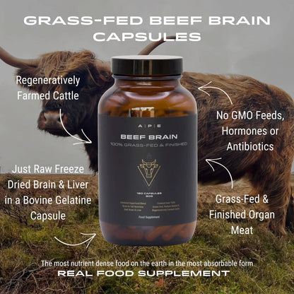 APE Nutrition Beef Brain