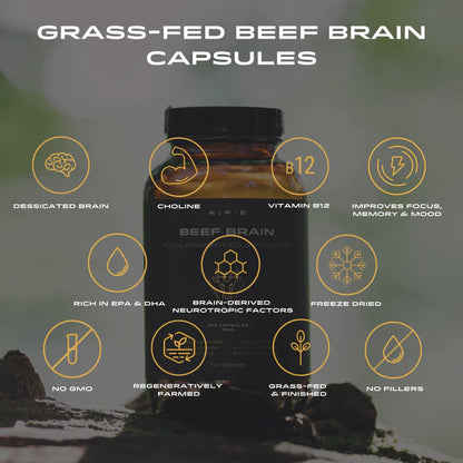 APE Nutrition Beef Brain