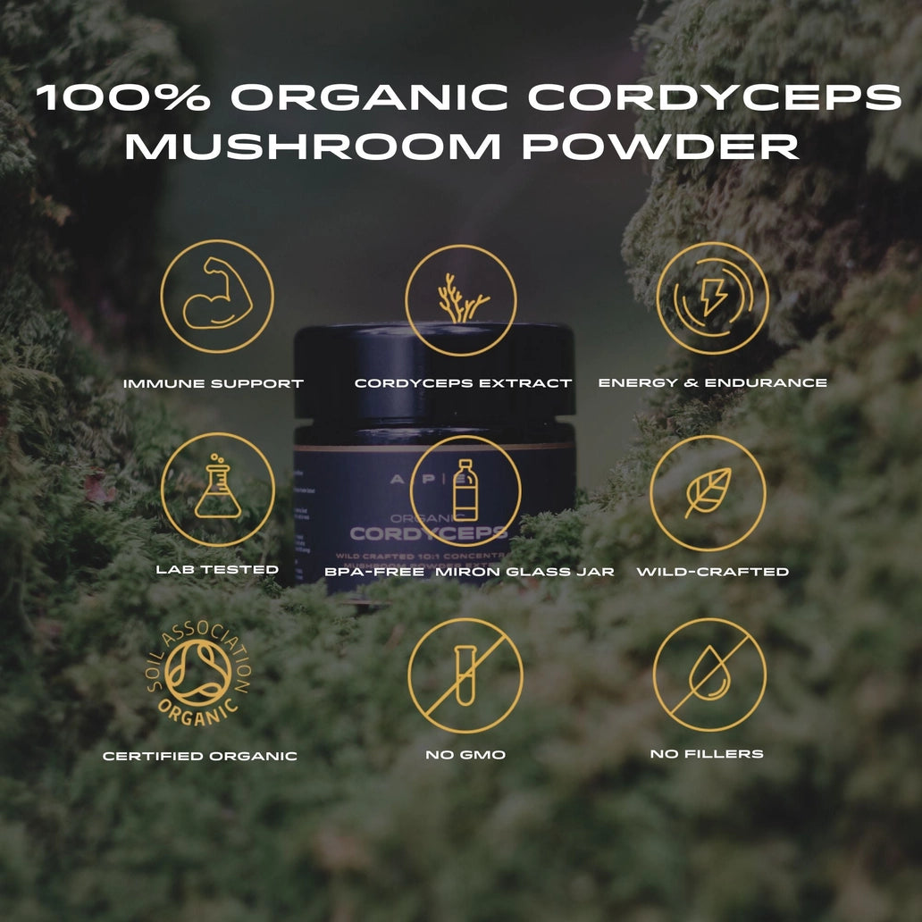 APE Nutrition Organic Cordyceps