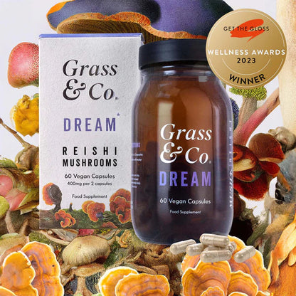 Grass & Co. DREAM - Reishi, Magnesium & Chasteberry