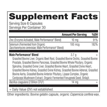 Ancient Nutrition Male Performance