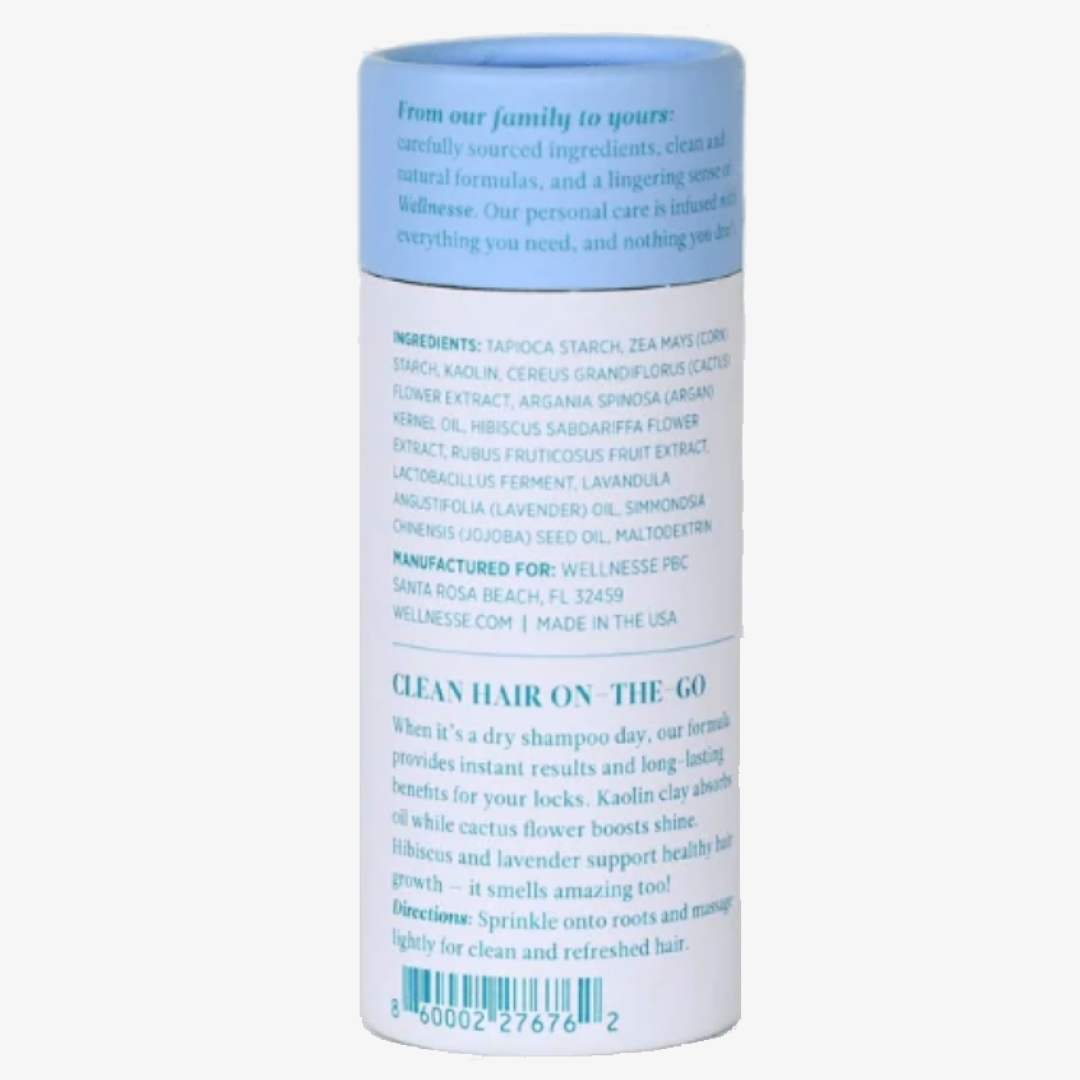 Wellnesse Revitalizing Dry Shampoo For All Hair Types