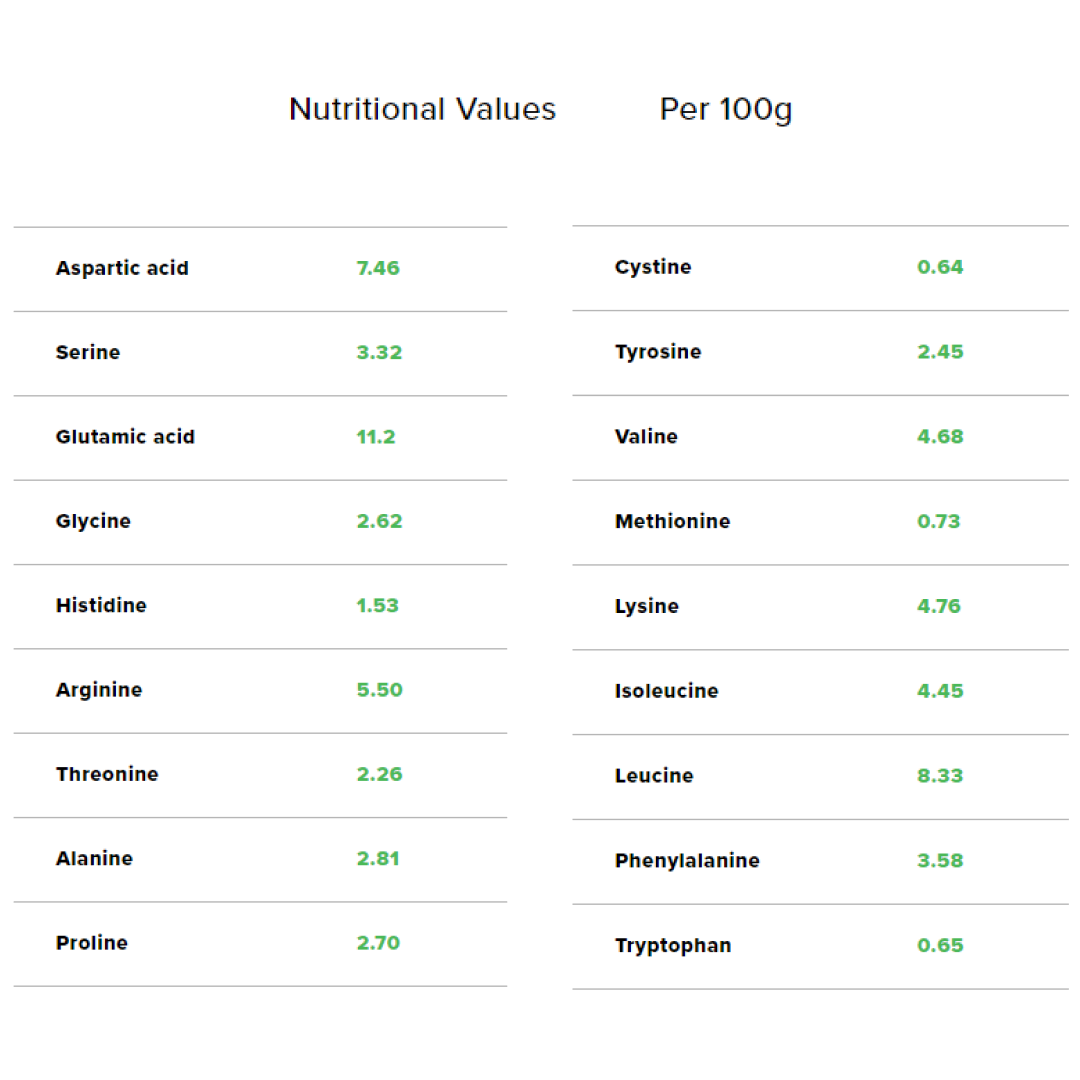 Raw Plant Protein and BCAA - Banana & Cinnamon