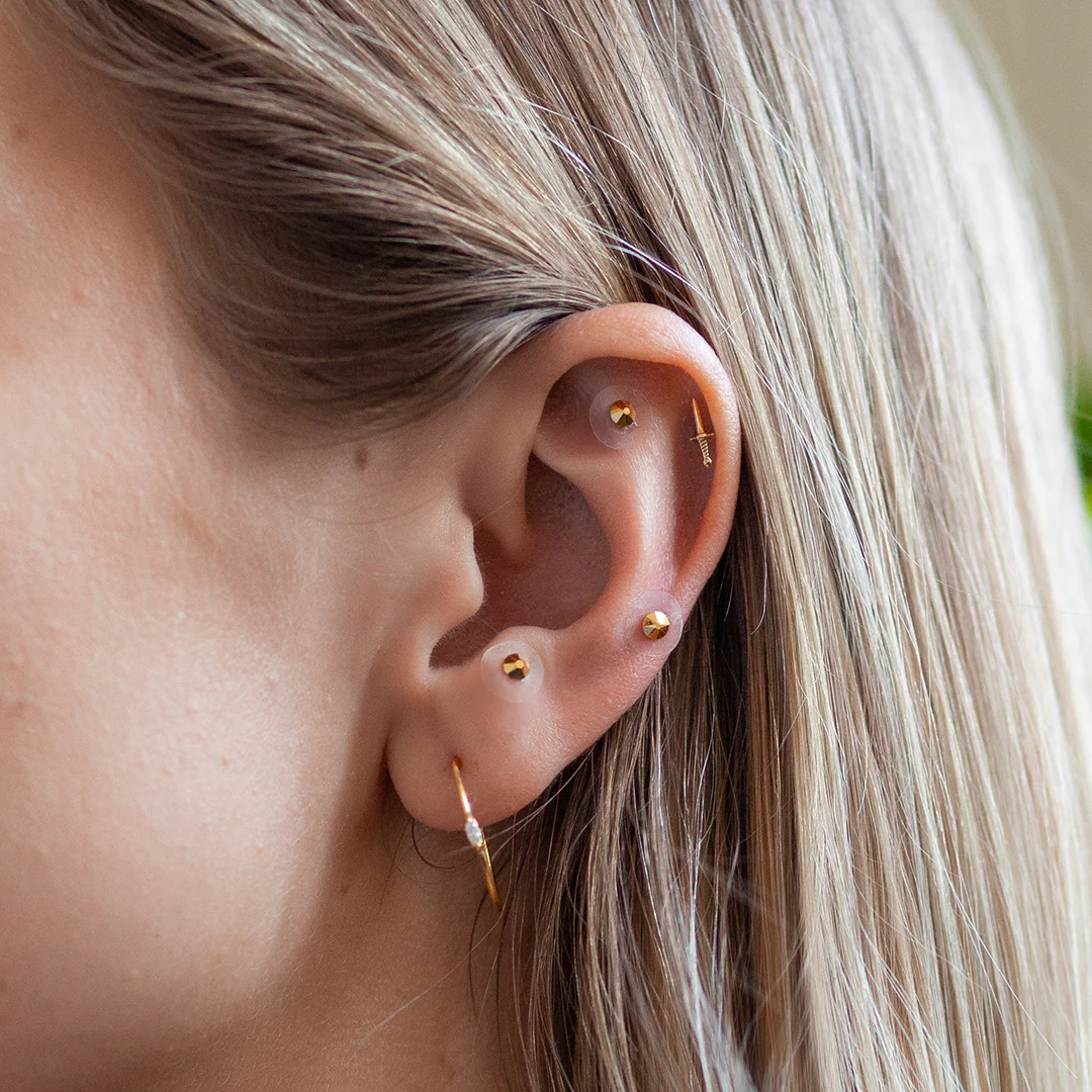 WTHN Ear Seed Kit - Gold Stud