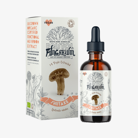 Bristol Fungarium Organic Shiitake Tincture