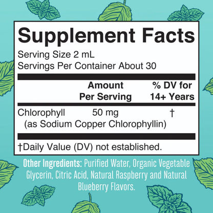 Maryruth Organics Vegan Liquid Chlorophyll Drops - Peppermint