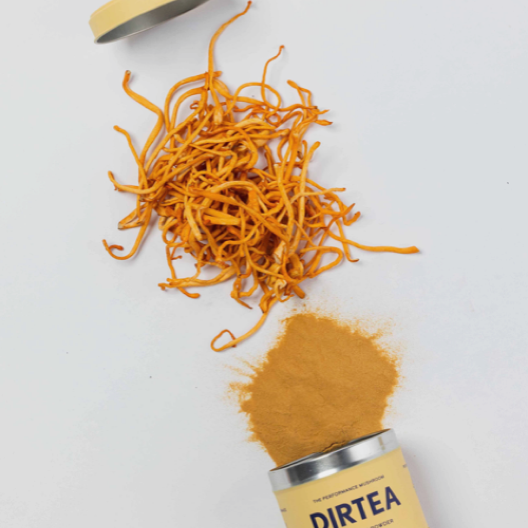 DIRTEA Cordyceps