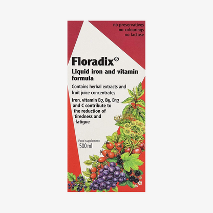 Floradix Floradix Liquid Iron