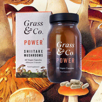 Grass & Co. POWER - Mushrooms with Holy Basil & Iron