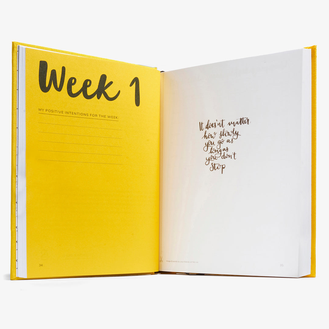 The Positive Planner Journal