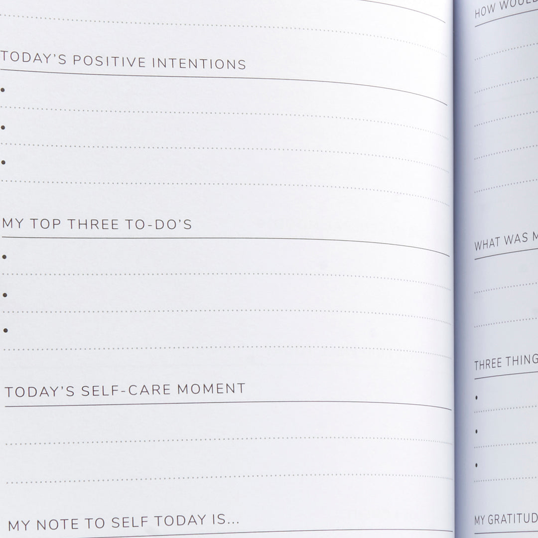 The Positive Planner Journal