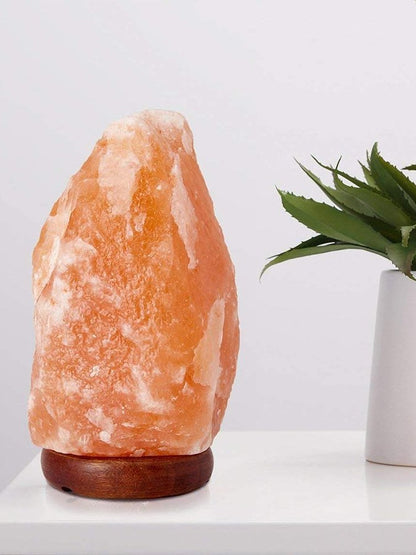 Genuine Pink Himalayan Salt Lamp
