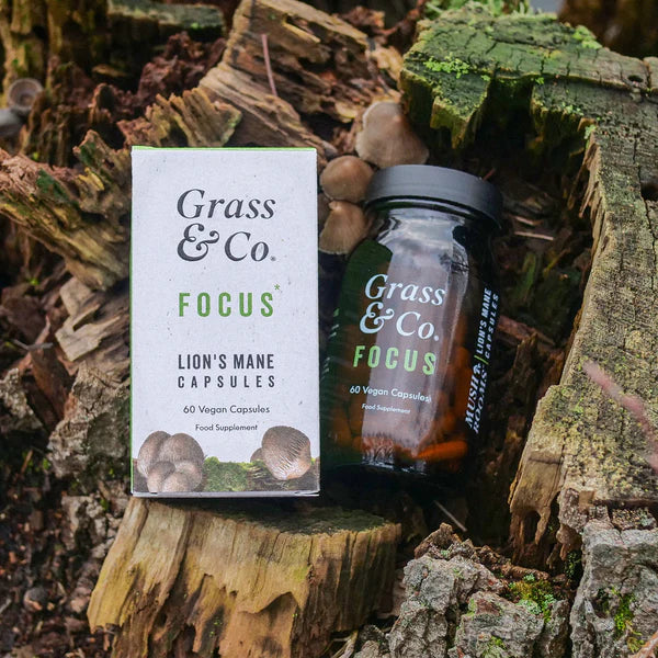 Grass & Co. FOCUS - Lion's Mane, Ginseng & Omega-3