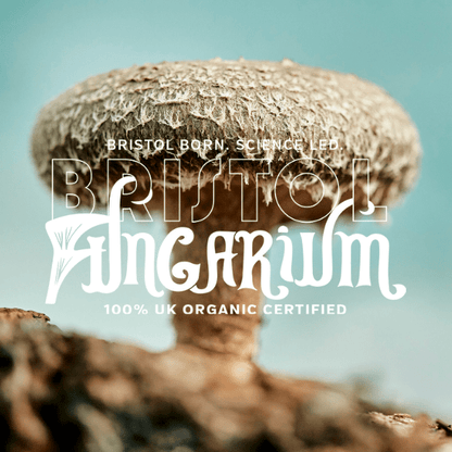 Bristol Fungarium Organic Shiitake Tincture